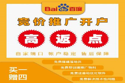 竞价排名在品牌推广中的经典案例